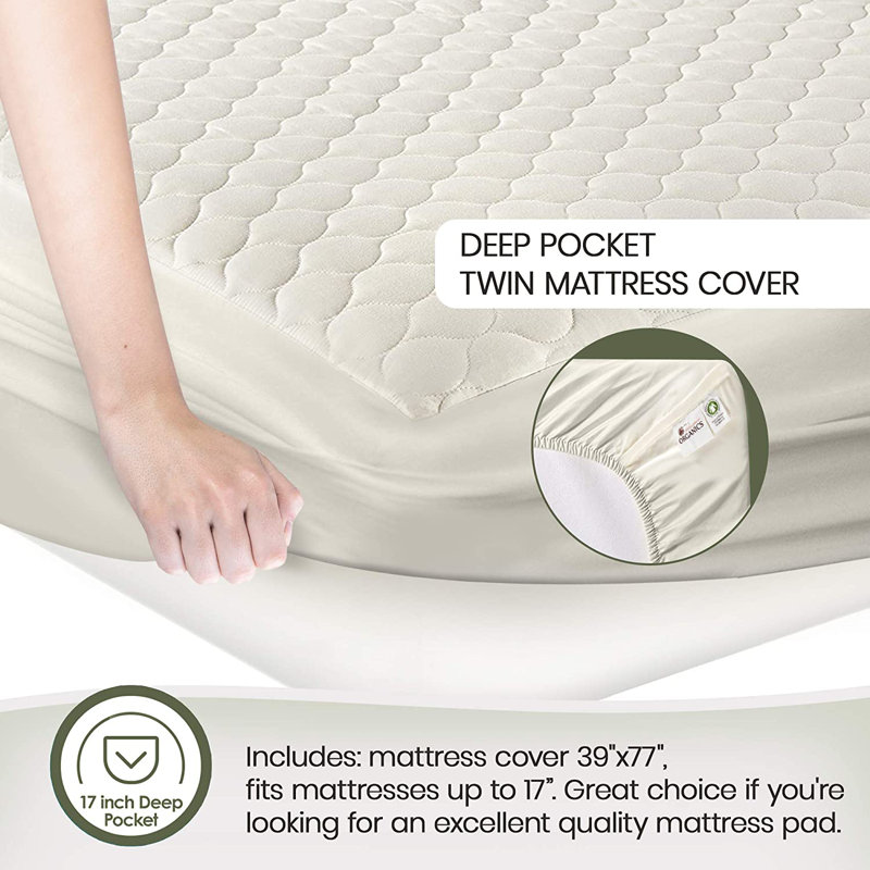 Whisper Organics Fitted Mattress Protector & Reviews Wayfair